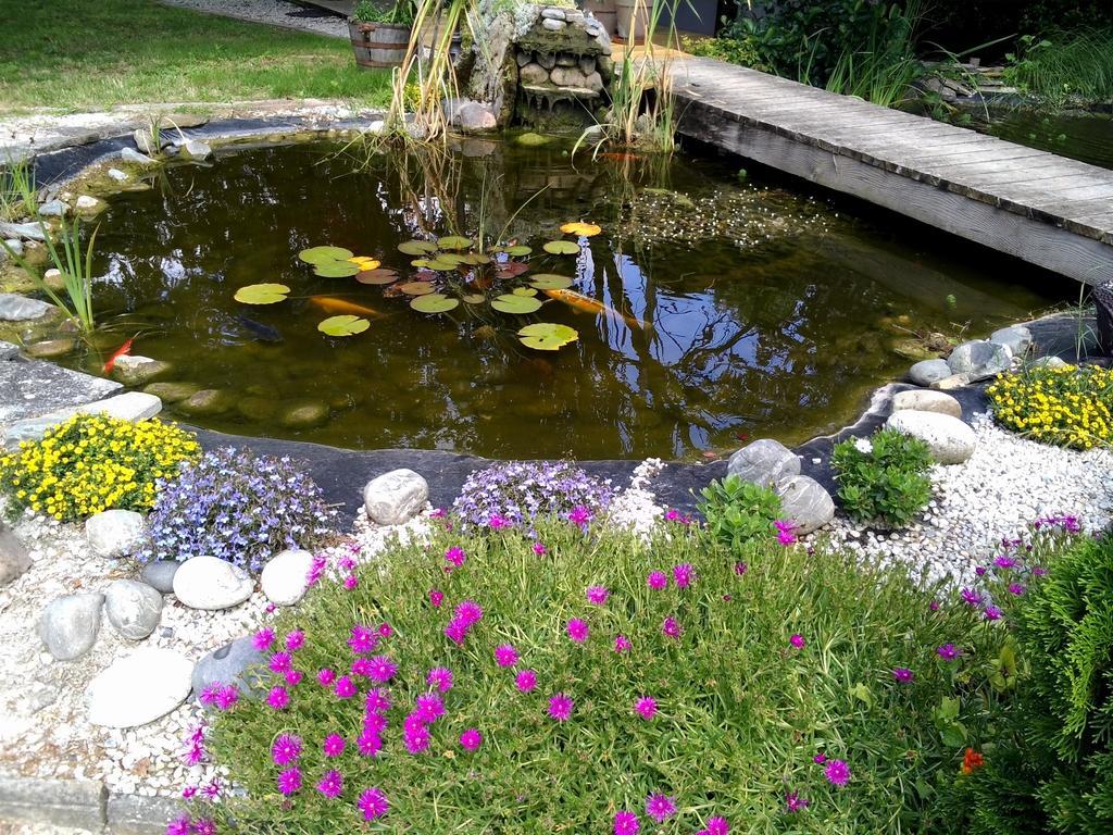 Le Bassin Du Tertre Panzió Fronsac  Kültér fotó