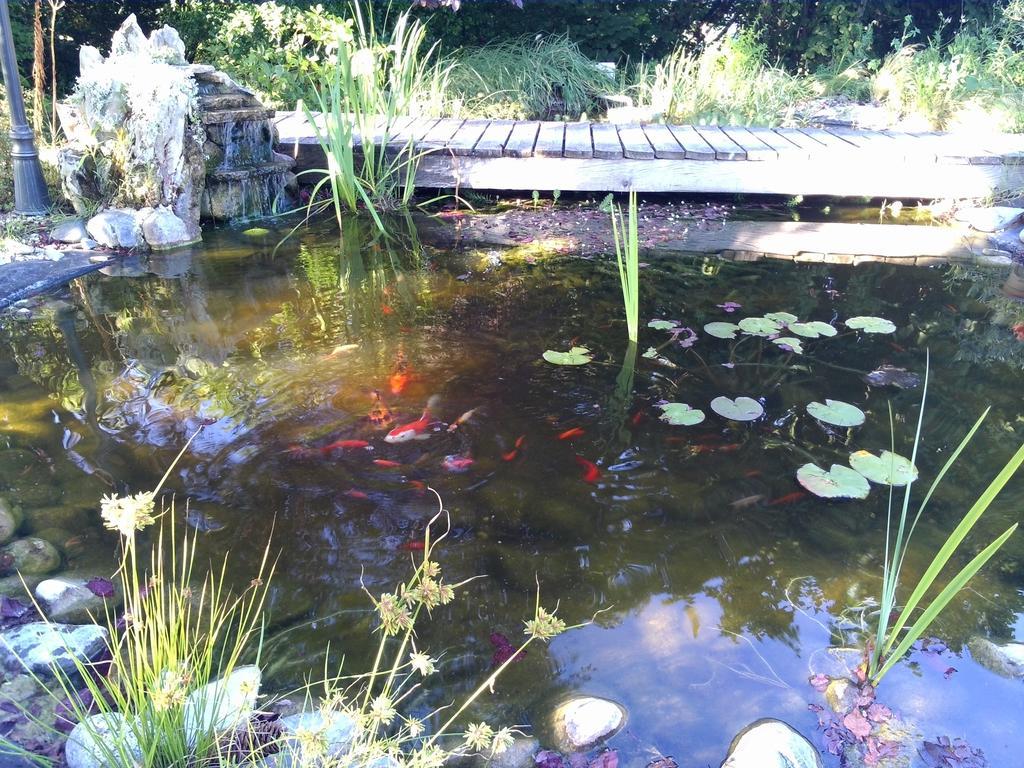 Le Bassin Du Tertre Panzió Fronsac  Kültér fotó